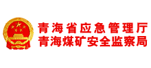 青海省应急管理厅logo,青海省应急管理厅标识