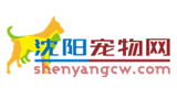 沈阳宠物网Logo