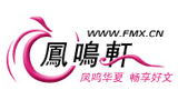 凤鸣轩小说网Logo