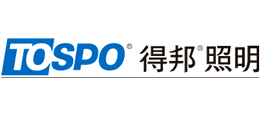 横店集团得邦照明股份有限公司Logo