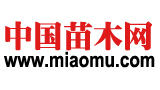 中国苗木网Logo