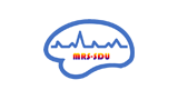国际磁共振波谱山东大学工作组Logo