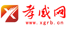 孝感网logo,孝感网标识