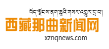 西藏那曲新闻网logo,西藏那曲新闻网标识