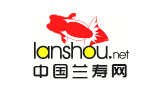 中国兰寿网Logo