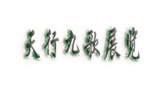 西安天行九歌展览服务有限公司Logo