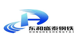 天津东和盛泰钢铁商贸有限公司Logo