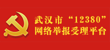 中共武汉市委组织部“12380”举报网站Logo