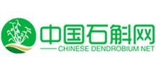 中国铁皮石斛网logo,中国铁皮石斛网标识