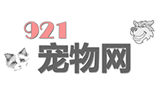 921宠物网