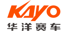 浙江华洋赛车股份有限公司logo,浙江华洋赛车股份有限公司标识