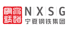 宁夏钢铁(集团)有限责任公司Logo